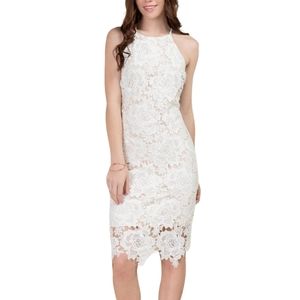 Nwt Francescas collections lace dress